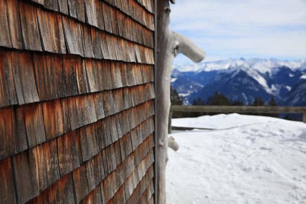 Cedar Siding Repair in Walnut Creek