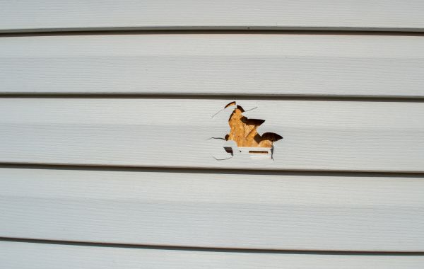 Siding Hole Patching in Walnut Creek